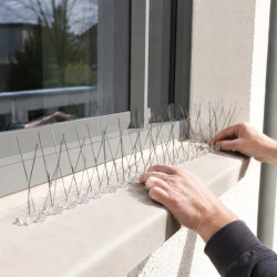 Kolce przeciw ptakom, 40 kolców, stal nierdzewna, podstawa poliwęglan UV, do parapetów i gzymsów, 50 cm, wys. 11 cm