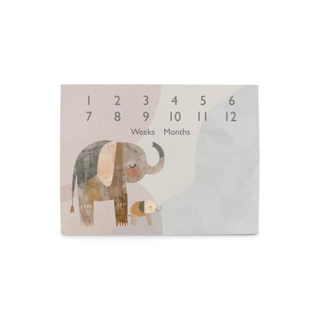 CEBA 309-000-781 Foto mata 92x72 Basic Elephant Family