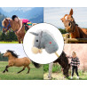HOBBY 6089 Koń na kiju grey