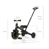MILLY MALLY 6276 Rowerek trójkołowy Stager 3w1 Platinum