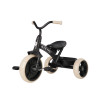 MILLY MALLY Qplay Rowerek trójkołowy Elite Pro Black