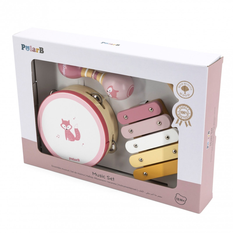 VIGA 44214N PolarB Zestaw Instrumentów Muzycznych