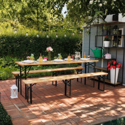Girlanda ogrodowa solarna LED, 10 żarówek, czujnik zmierzchu, dł. 2,7 m, kabel 3 m, żarówki 6x9 cm